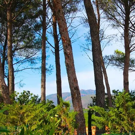 Hébergement de vacances Golf Valescure - Raphael *