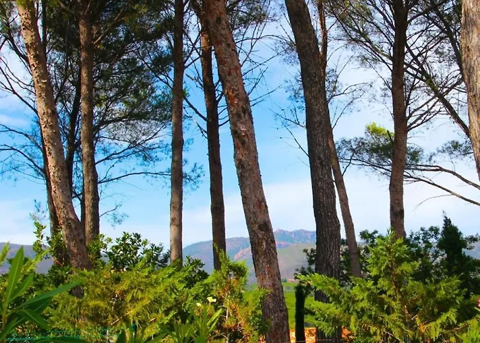 Σπίτι διακοπών Golf Valescure - Raphael *